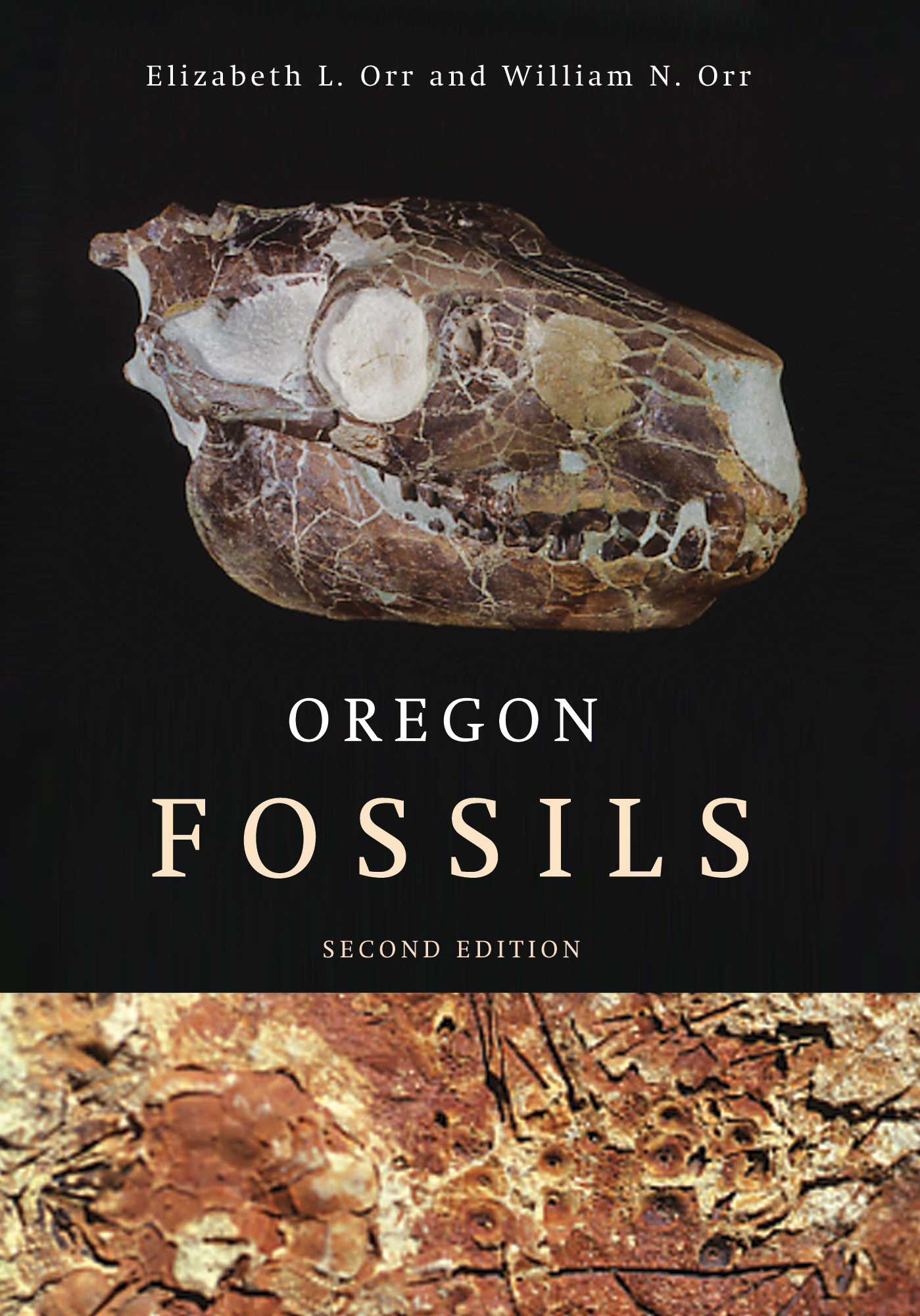 Photo shows the NEW Second Edition of Oregon Fossils, by Elizabeth L. Orr and William N. Orr ISBN 978-0-87071-573-0 a new revised and expanded guide for Oregon fossils - Hot off the Press!  To ensure availibility of this item, order as early as possible. Click here to learn more about the largest selection of Regional Books and Maps for Oregon from FACETS book shelf!